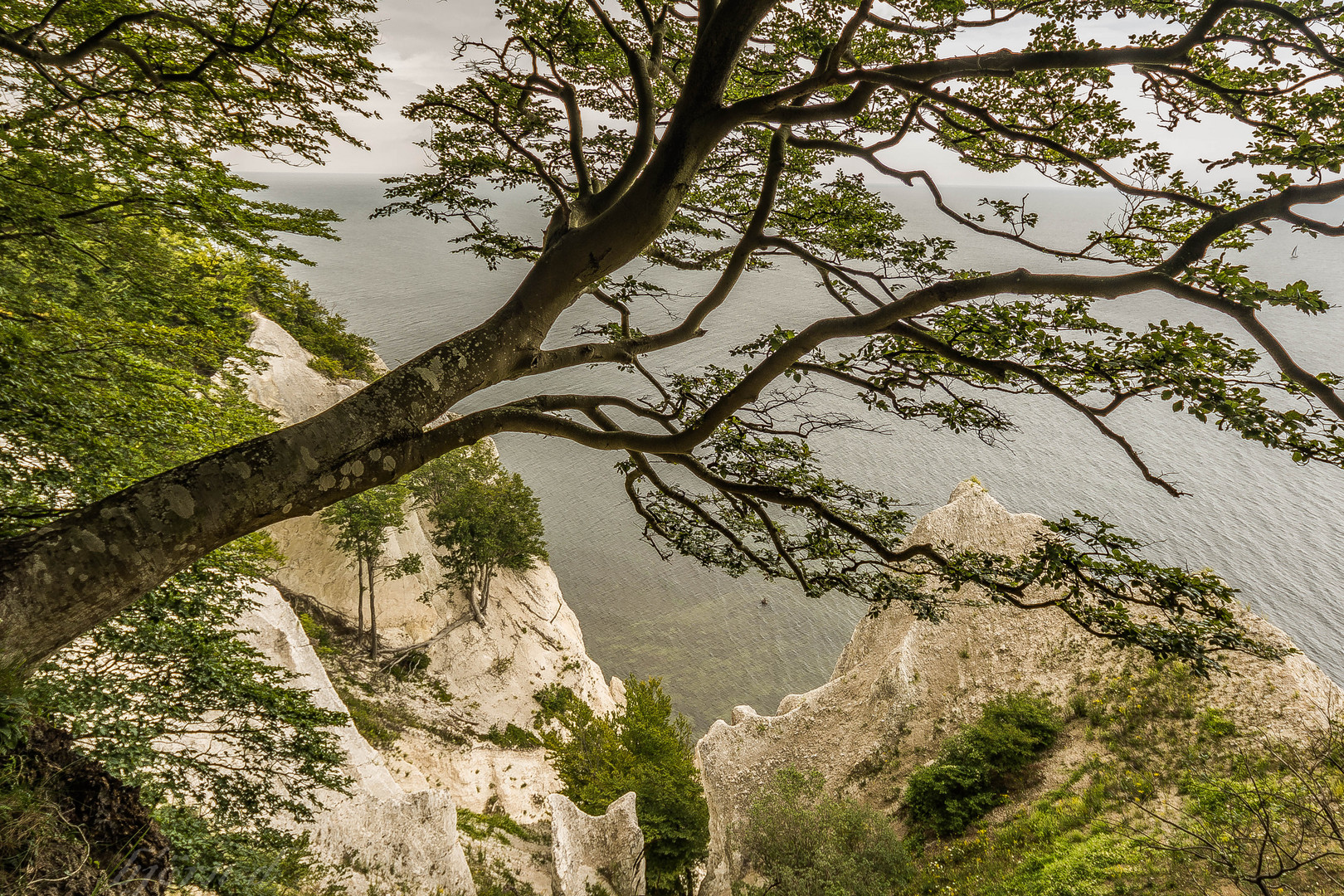 Kreidefelsen Mön 