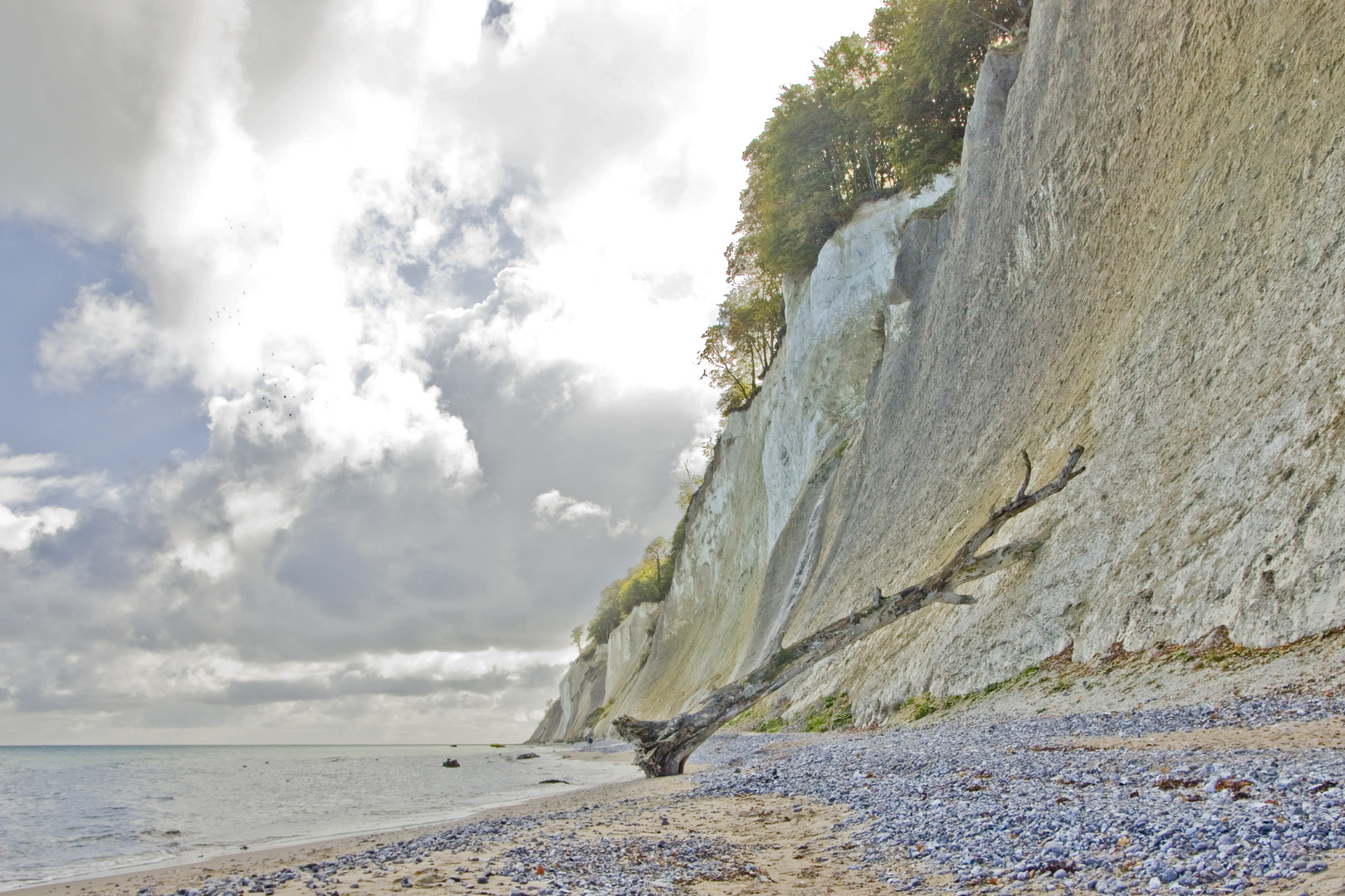 Kreidefelsen Rügen