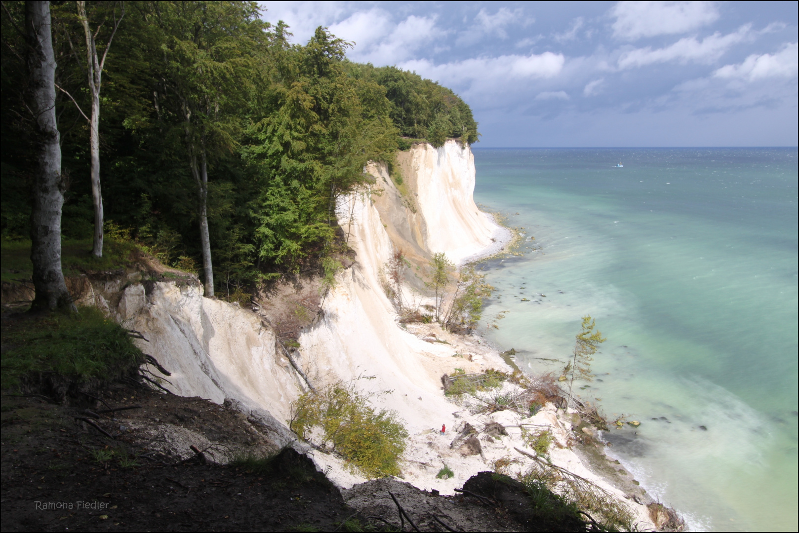 Kreidefelsen, Rügen 2011