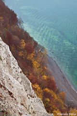 Kreidefelsen - Rügen 2011