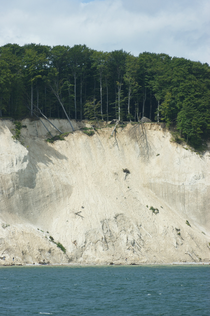 Kreidefelsen Rügen