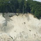 Kreidefelsen Rügen