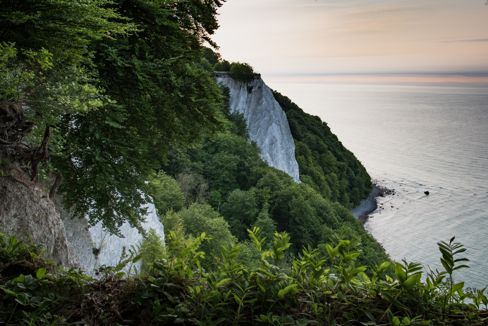 Kreidefelsen Rügen