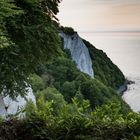 Kreidefelsen Rügen