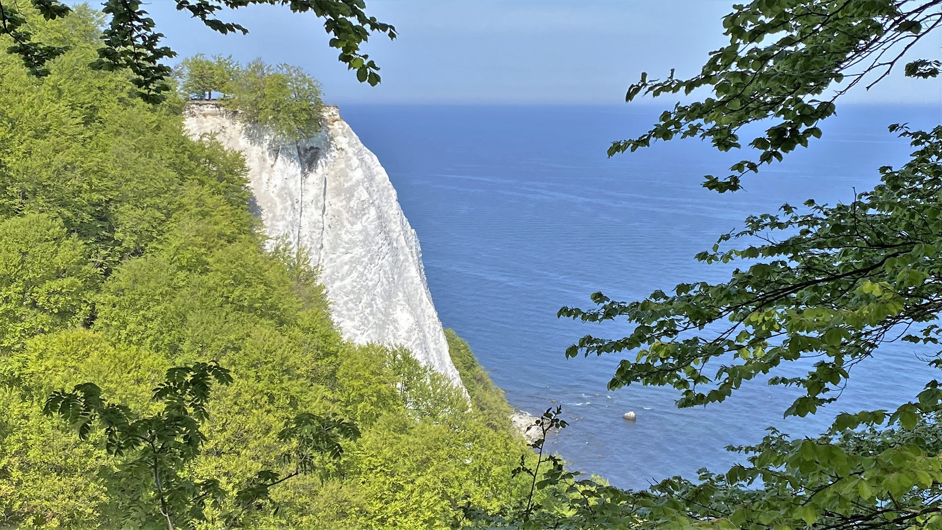 Kreidefelsen Rügen