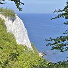 Kreidefelsen Rügen