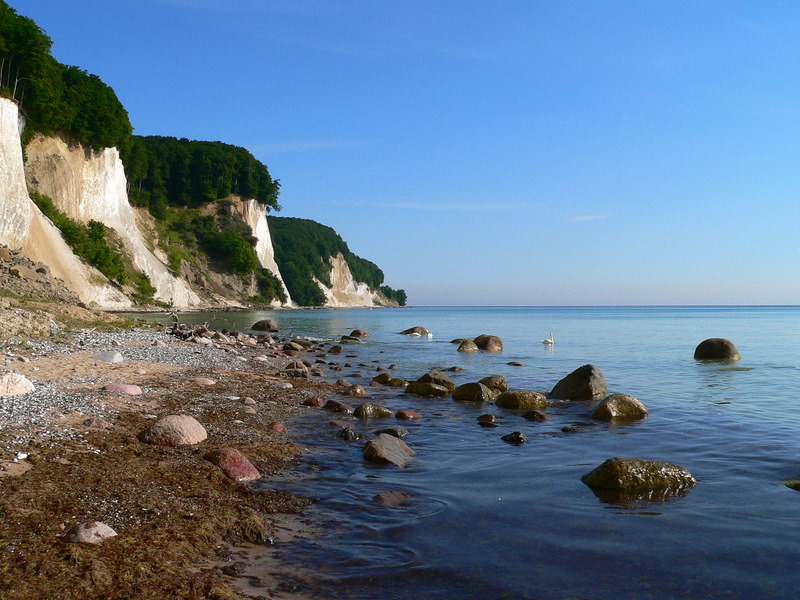 Kreidefelsen Rügen