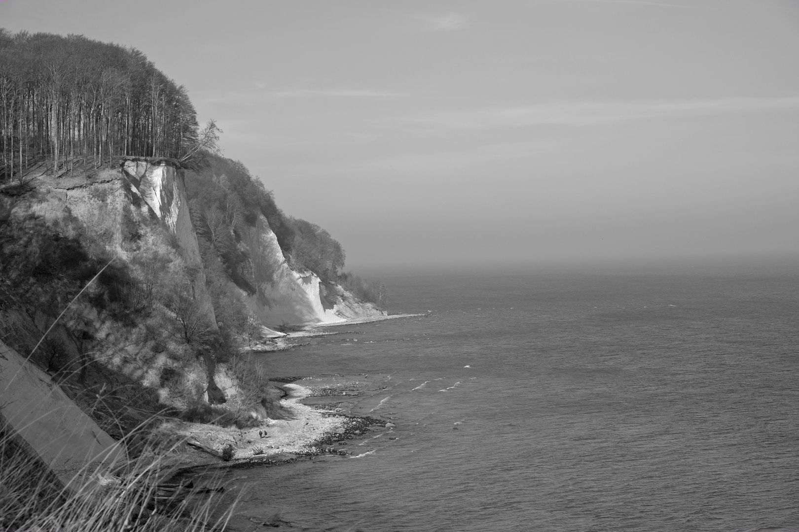 Kreidefelsen Rügen