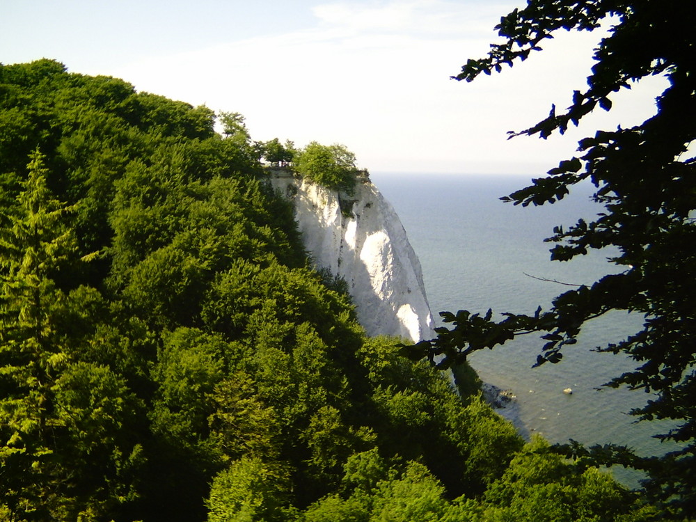 Kreidefelsen Rügen