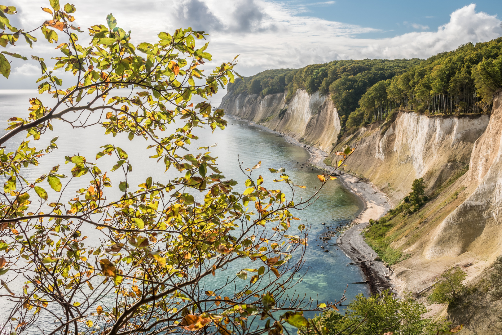 Kreidefelsen Rügen