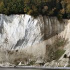 Kreidefelsen Rügen