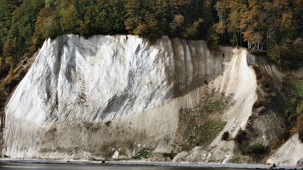 Kreidefelsen Rügen