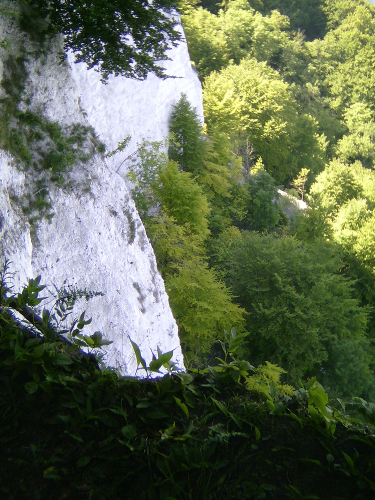 Kreidefelsen Rügen