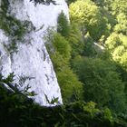 Kreidefelsen Rügen