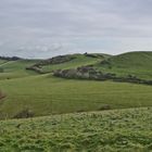 Kreidefelsen Südengland Rückseite