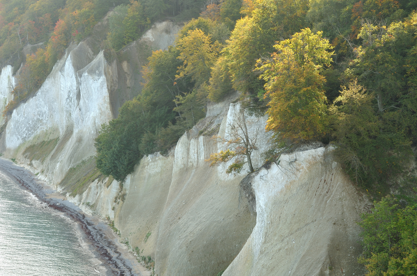 Kreidefelsen von Jasmund