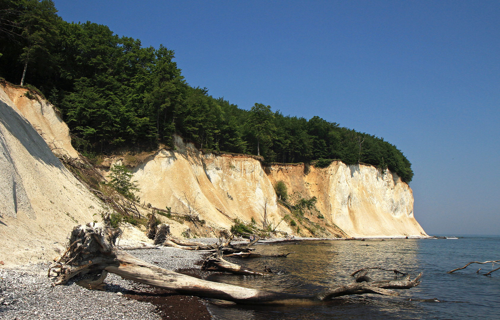 Kreidefelsen von Rügen