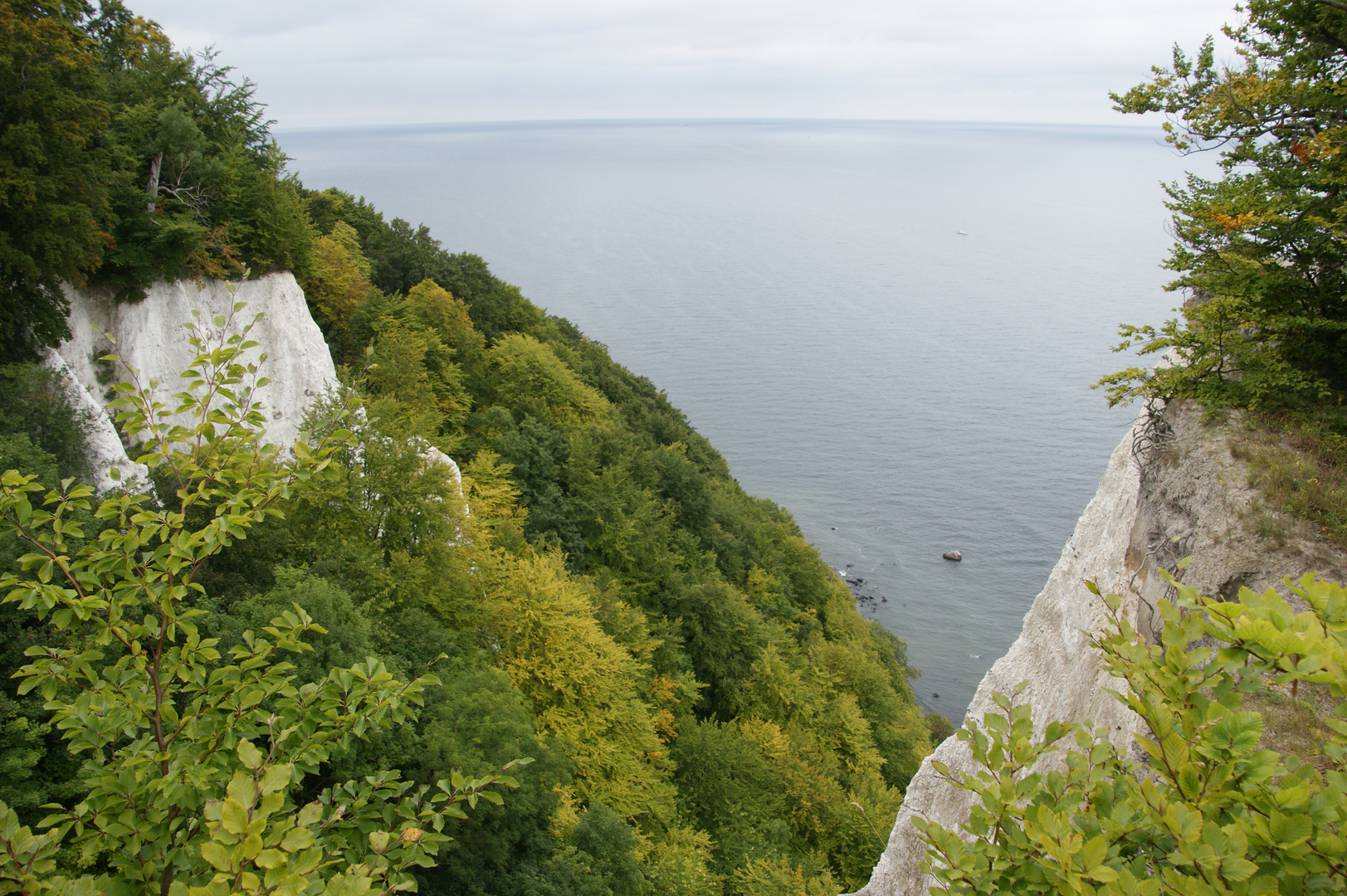 Kreidefelsen von Rügen