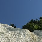 Kreidefelsen von Rügen