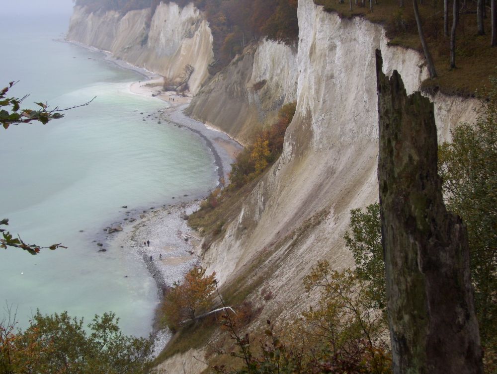 Kreidefelsen/Insel Rügen