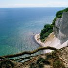 Kreideklippen Møn - Dänemark-Urlaub 2001