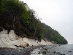 Kreideküste am Königsstuhl