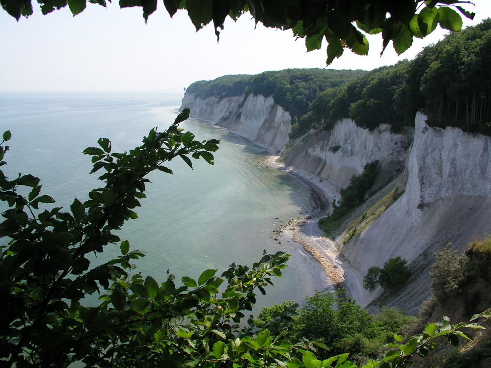 Kreideküste auf Rügen