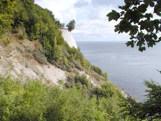 Kreideküste auf Rügen