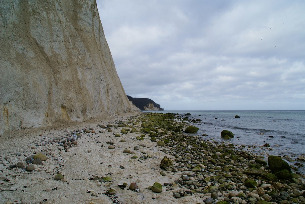 Kreideküste auf Rügen