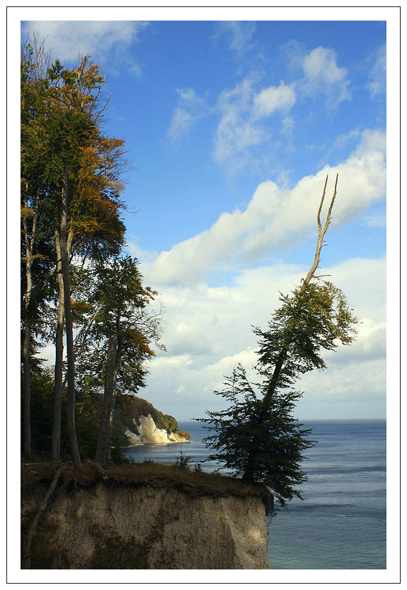 Kreideküste auf Rügen II