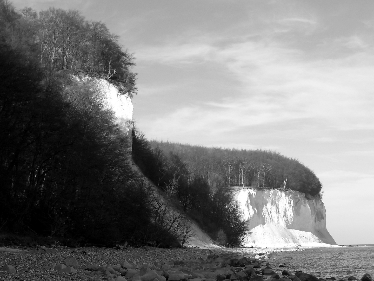 Kreideküste bei Sassnitz / Rügen