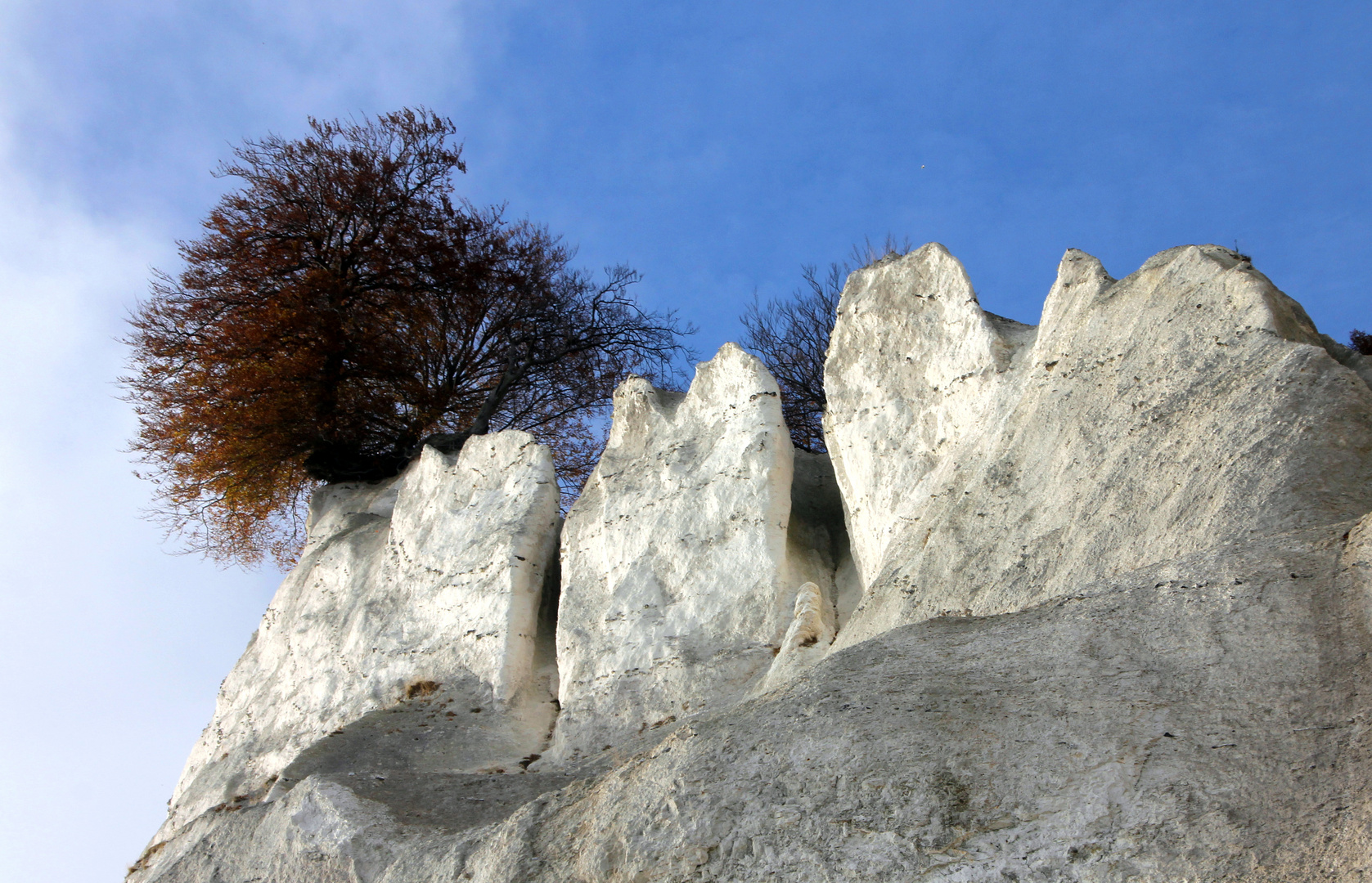 Kreideküste im Detail