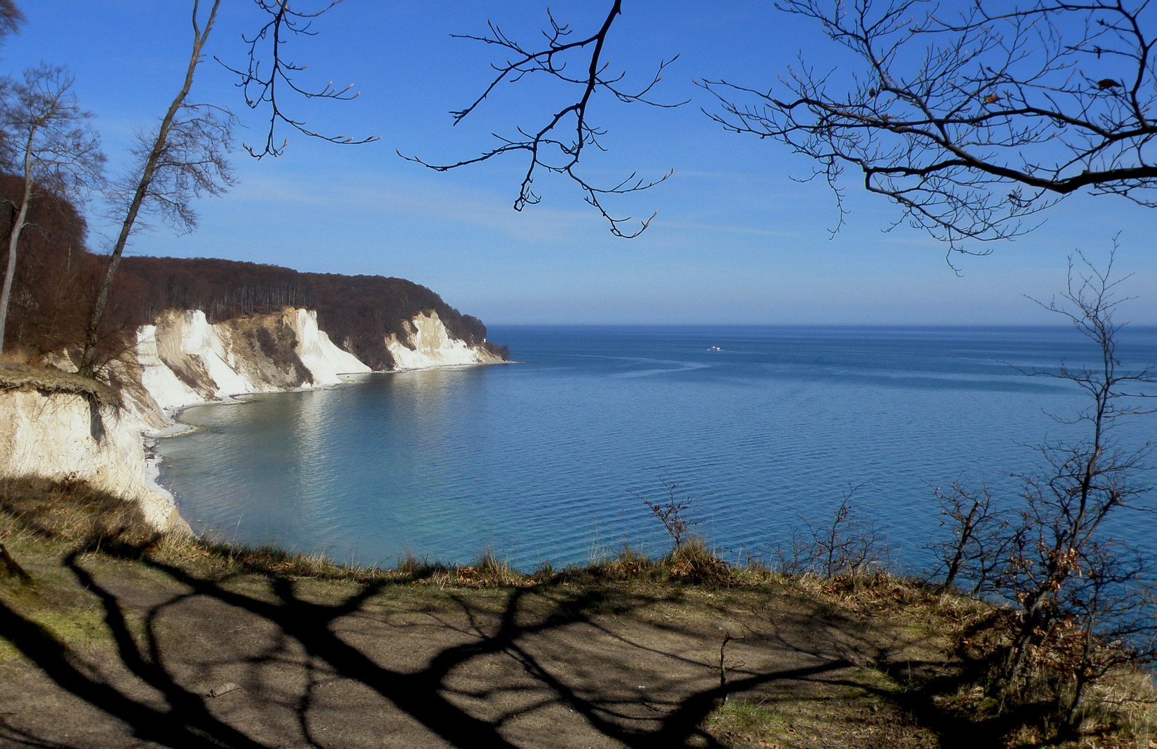 Kreideküste im Frühjahr