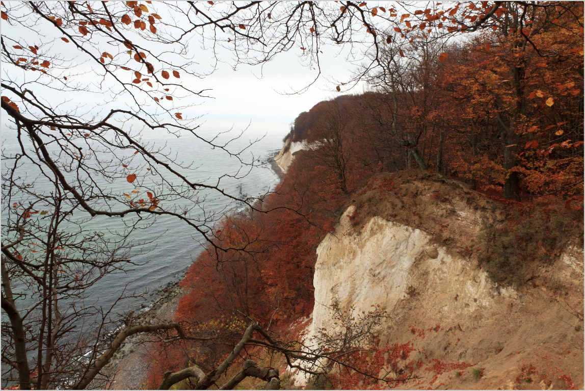 Kreideküste im Herbstkleid