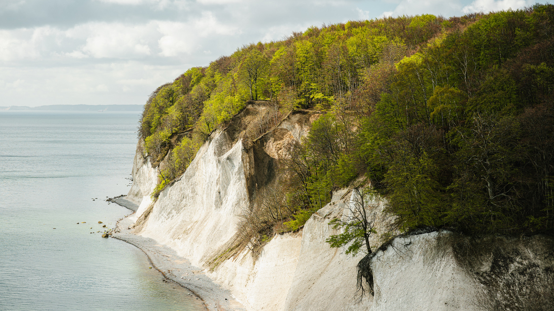 Kreideküste im Jasmund NP, Rügen