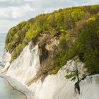 Kreideküste im Jasmund NP, Rügen