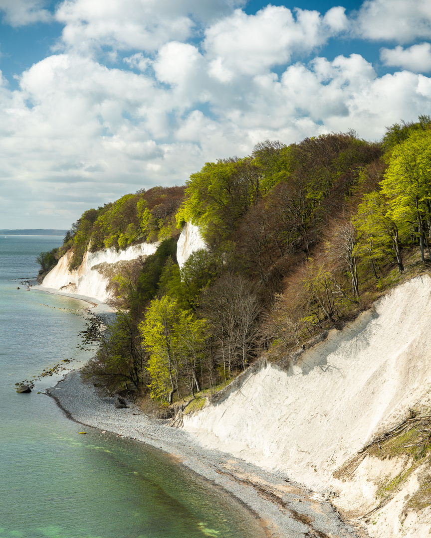 Kreideküste im Jasmund NP, Rügen