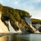 Kreideküste im Jasmund NP, Rügen