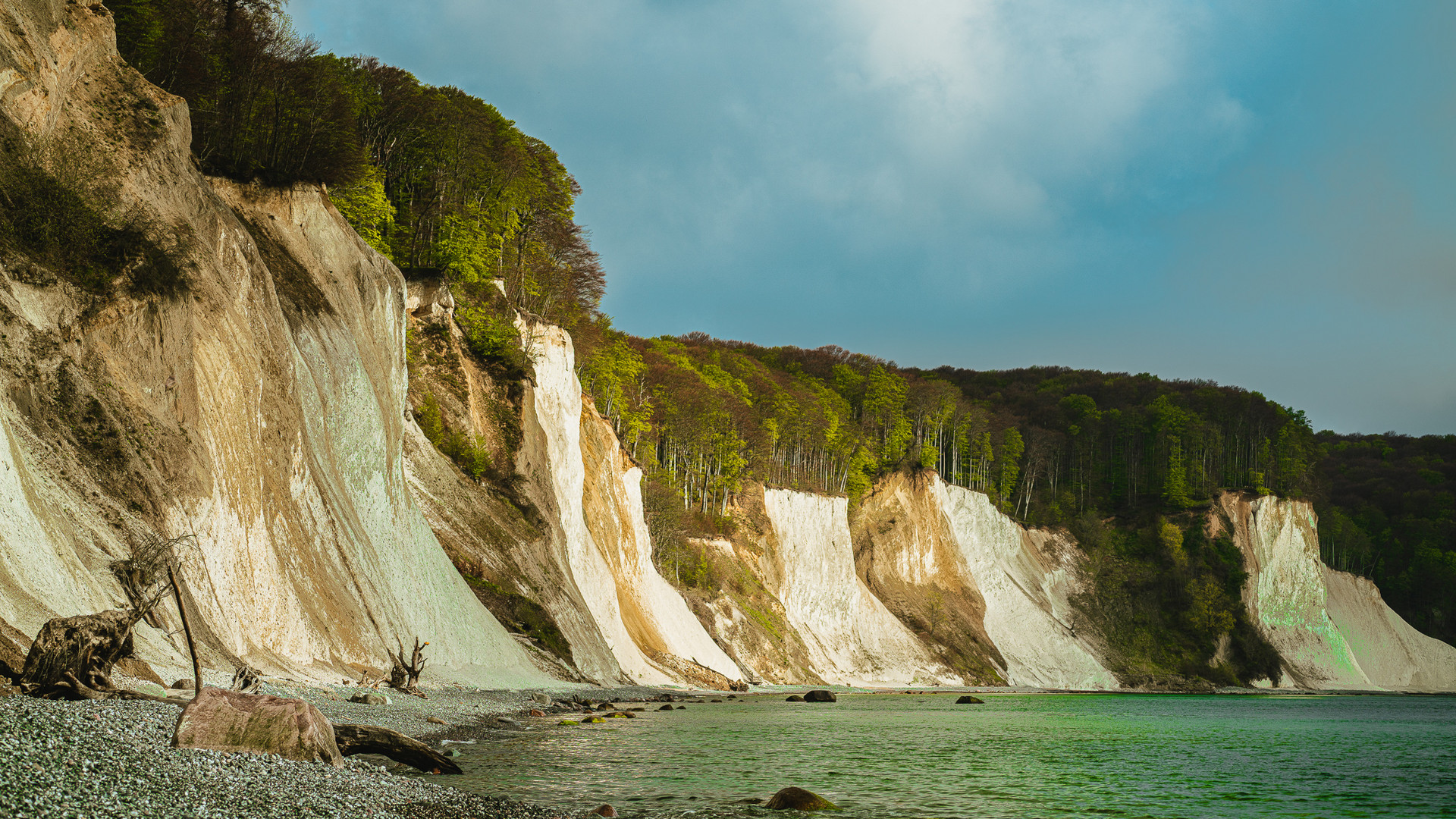 Kreideküste im Jasmund NP, Rügen