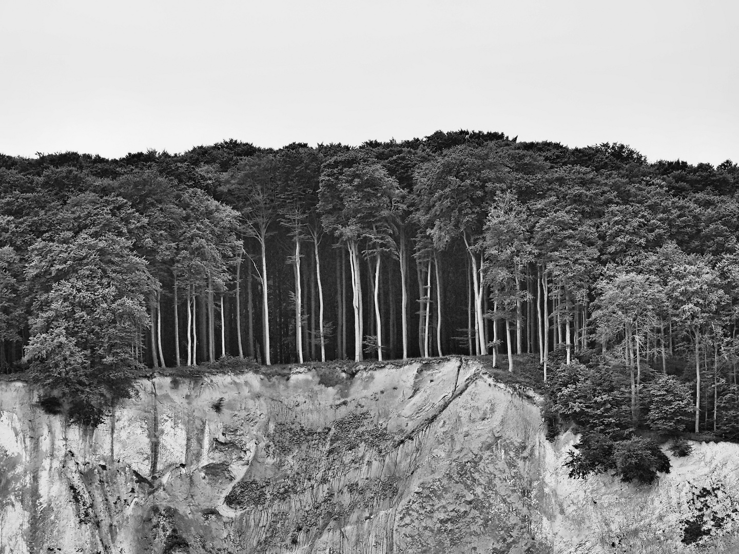 kreideküste rügen .