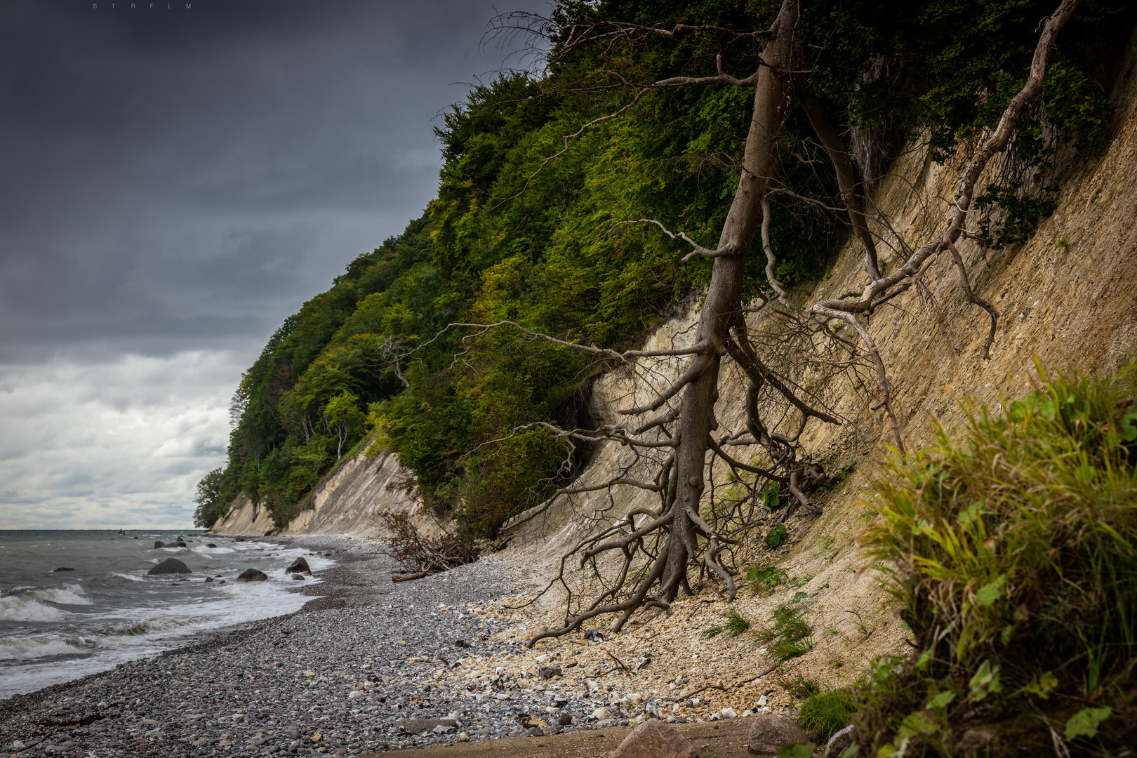 Kreideküste Rügen