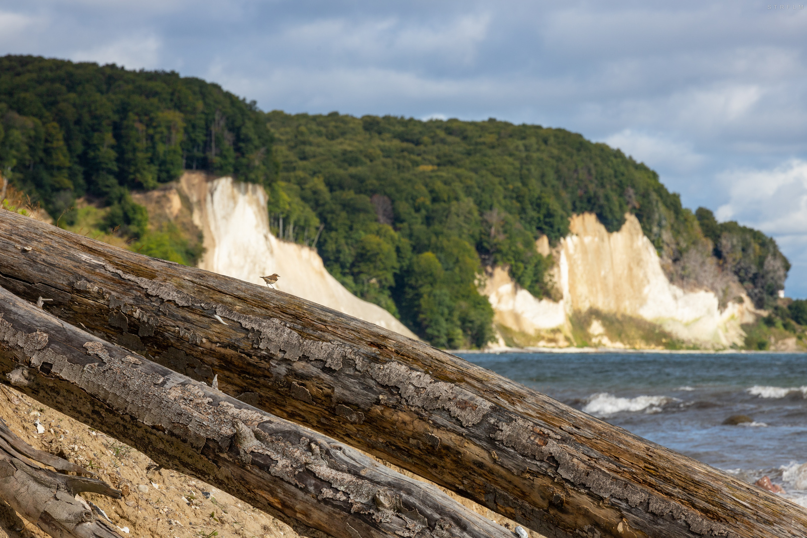 Kreideküste Rügen