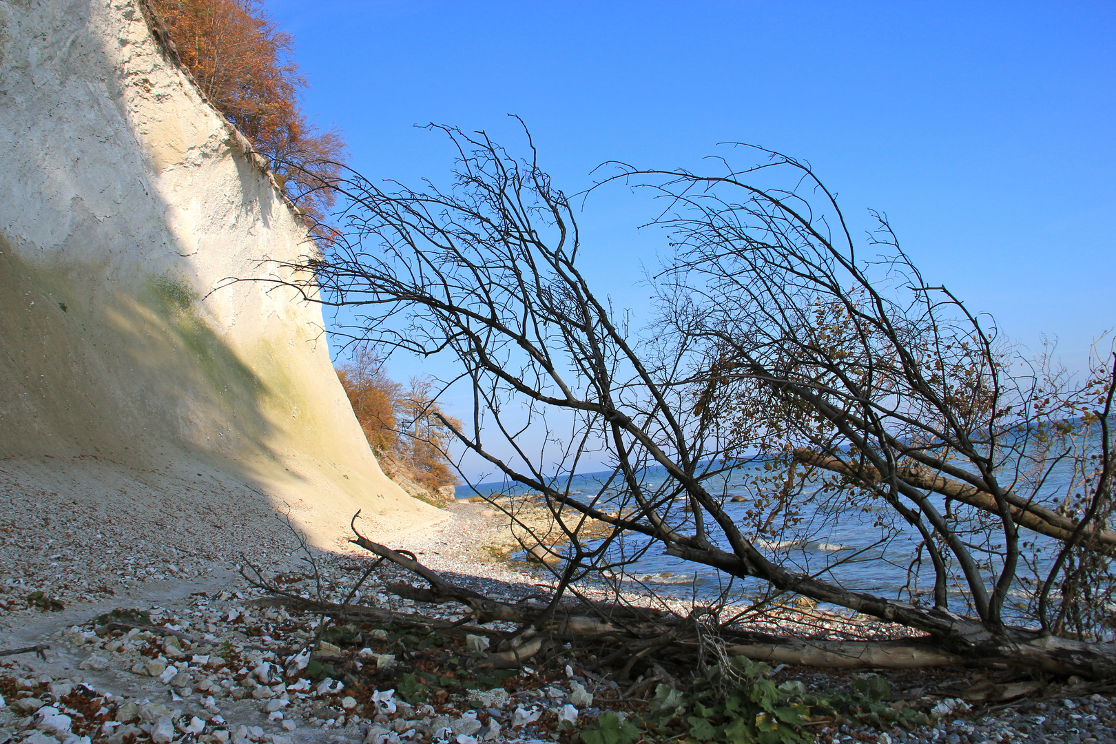 Kreideküste Rügen