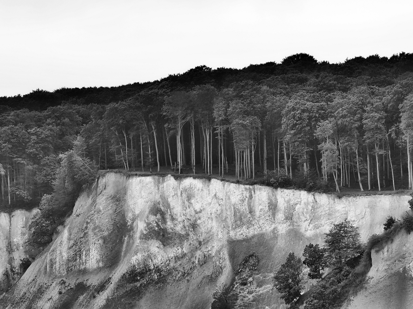 kreideküste rügen ..