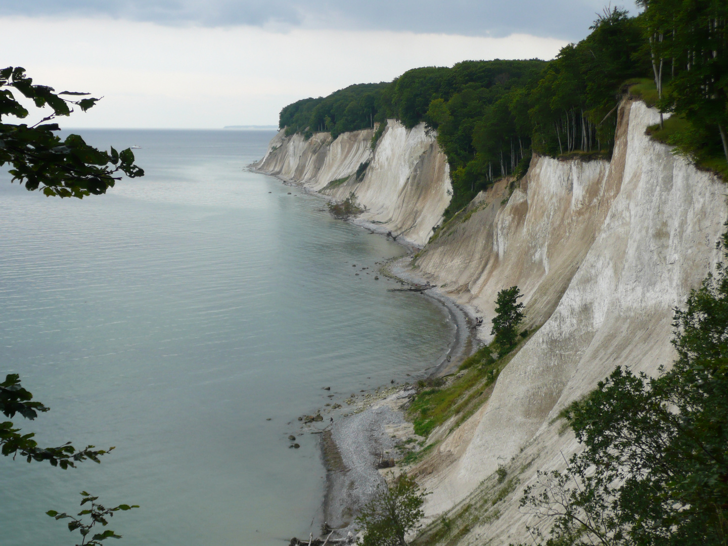 Kreideküste Rügen