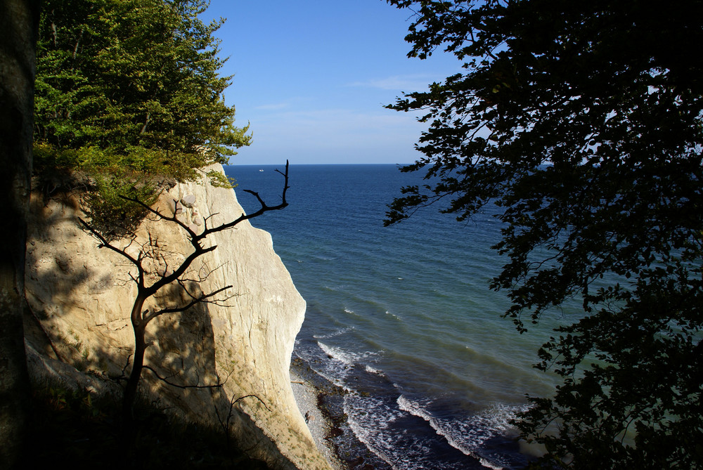 Kreideküste von Rügen