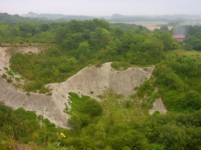 Kreidelehrpfad Blick vom kleinen Kreidefelsen