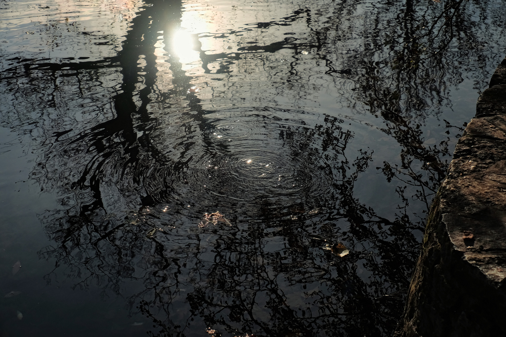 Kreise im Wasser