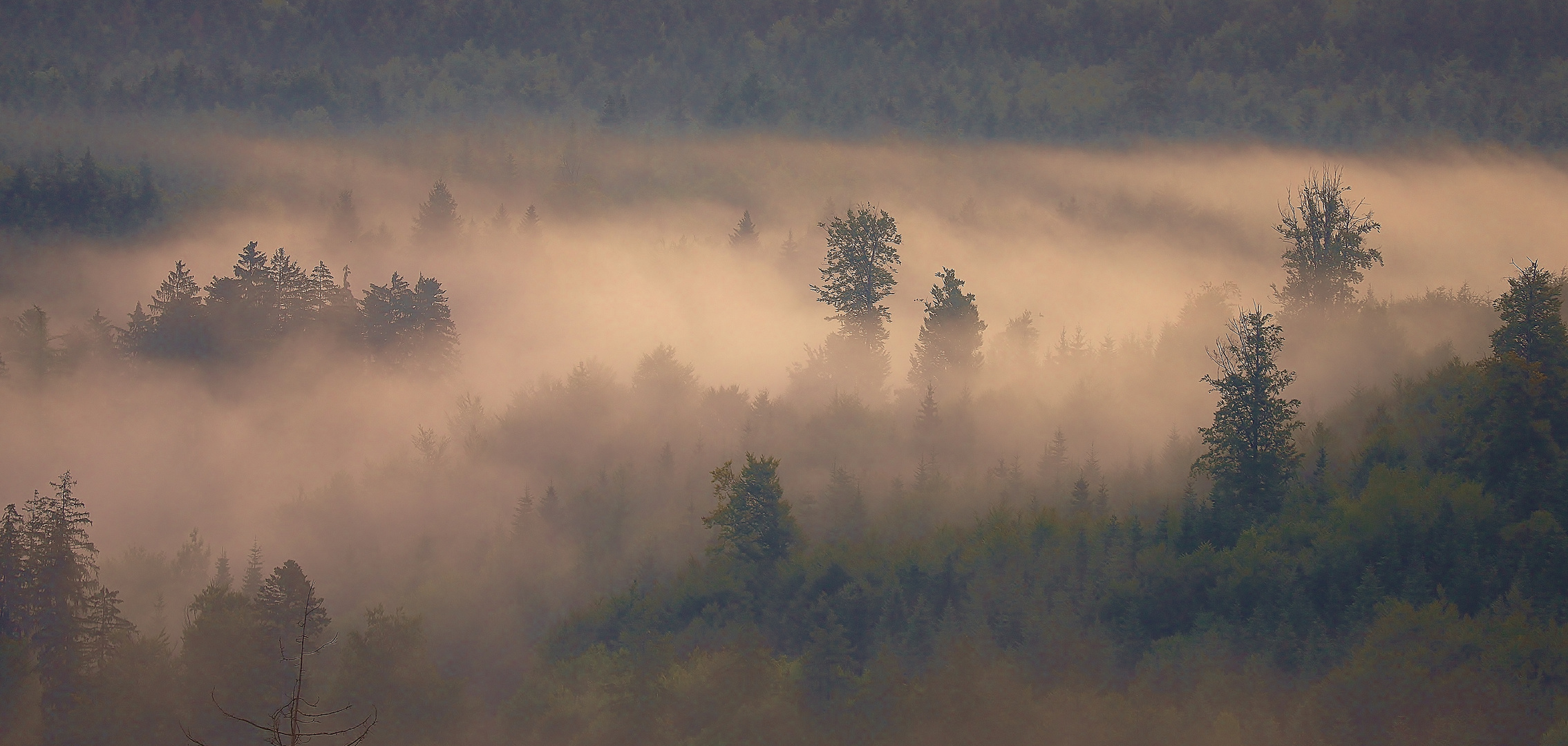 Kreisender Herbstnebel...