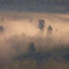 Kreisender Herbstnebel...